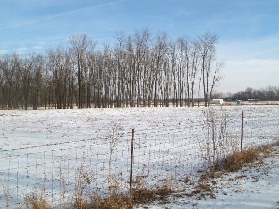 REAL ESTATE AUCTION - 830+/- ACRES IN 20 TRACTS IN HANCOCK & SHELBY COUNTIES, INDIANA